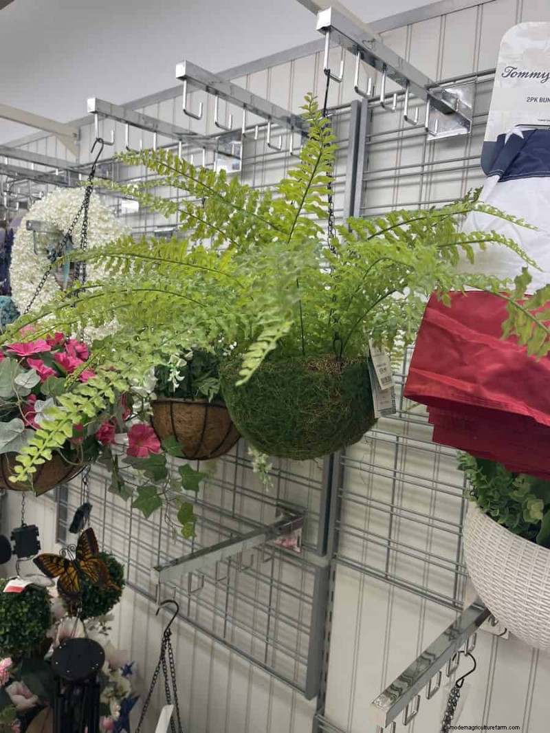 Spring Outdoor & Garden Finds at Marshalls: 25 Must-See Items