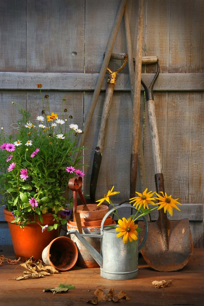 18 Clever Garden Tool Storage Ideas to Organize Your Shed