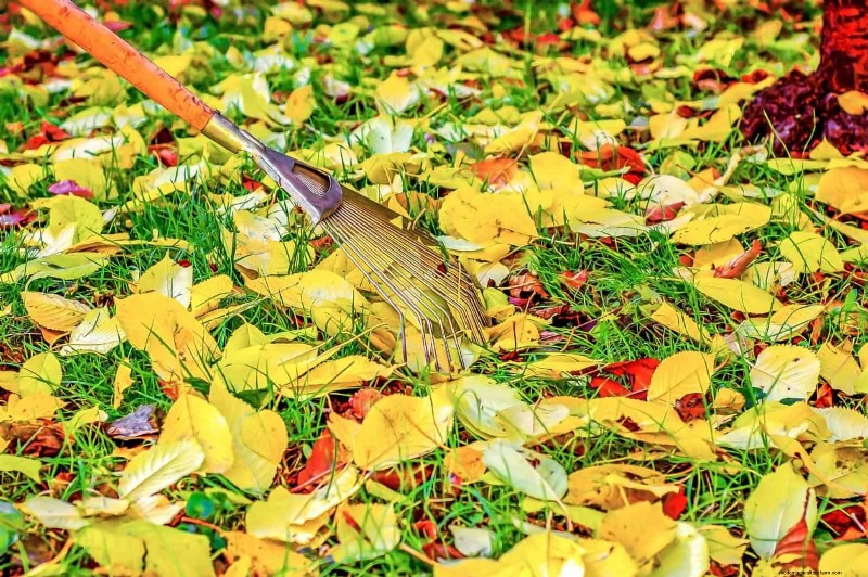 Avoid Common Garden Mistakes: A Seasonal Maintenance Guide