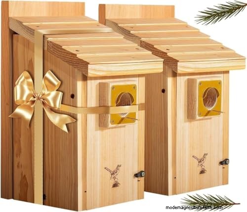 Create a Wildlife-Friendly Garden: 15 Habitat Ideas