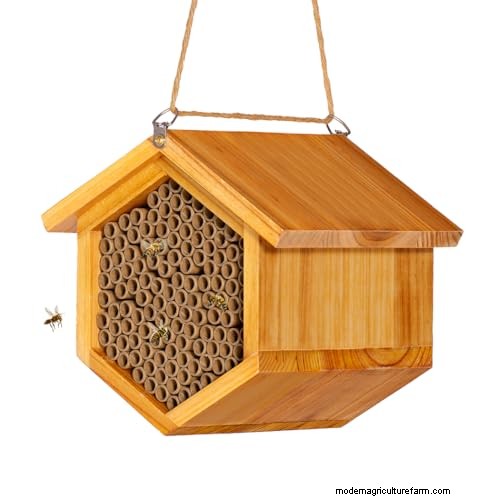 Create a Wildlife-Friendly Garden: 15 Habitat Ideas