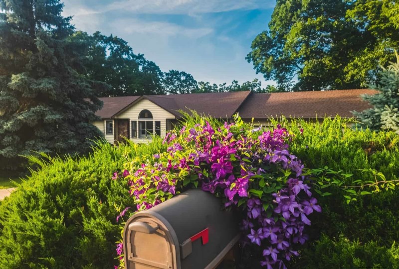 Mailbox Garden Do s and Don ts: Avoid USPS Delivery Issues
