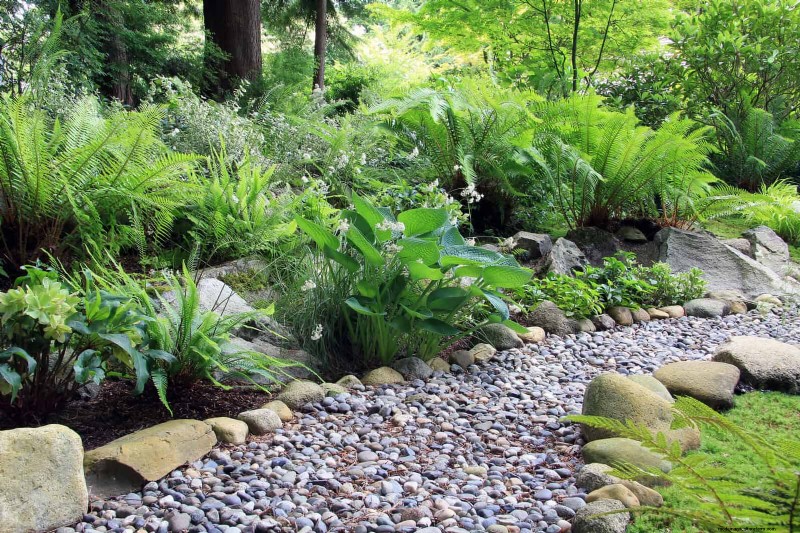 Protecting Shade-Loving Perennials: Avoiding Sun Exposure Mistakes