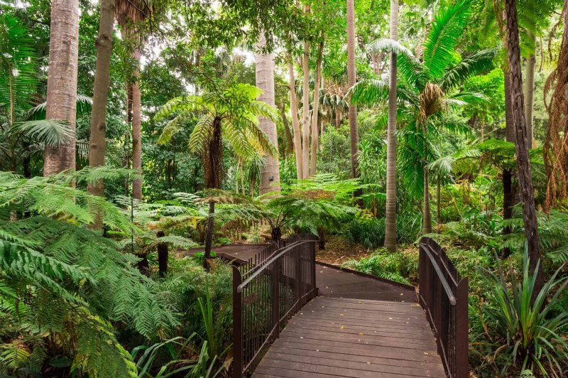 Protecting Shade-Loving Perennials: Avoiding Sun Exposure Mistakes