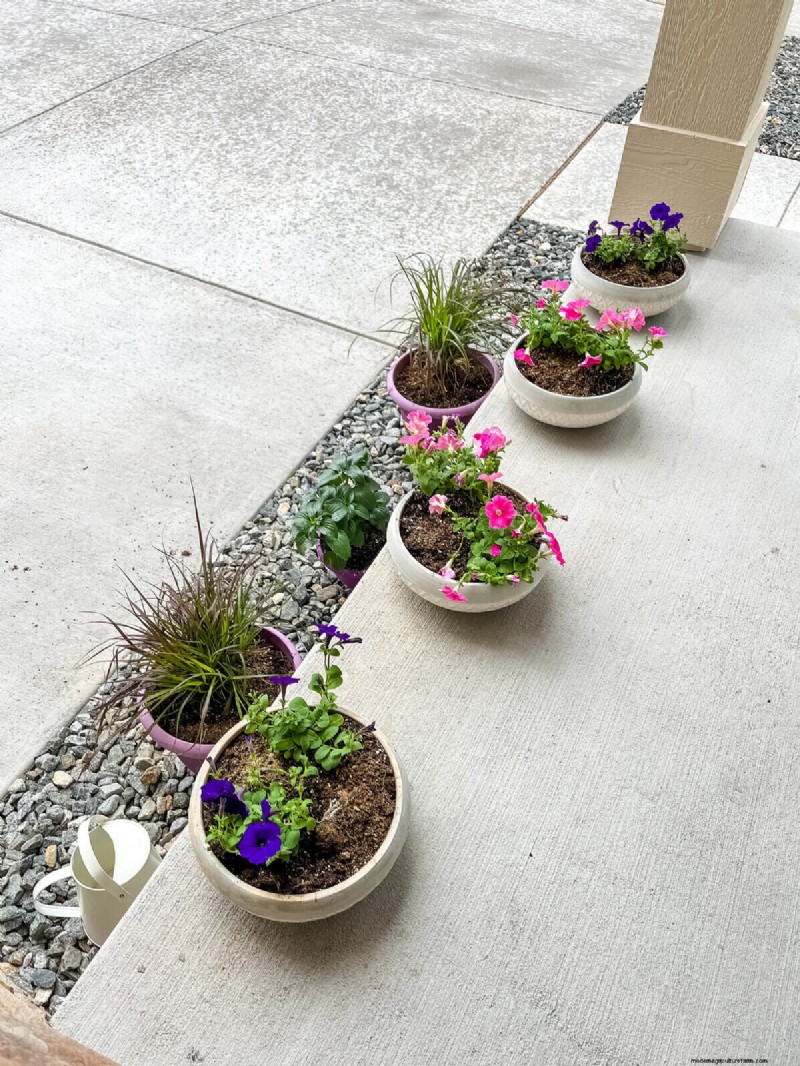 Avoid Summer Garden Mistakes: Protect Your Spring Planting