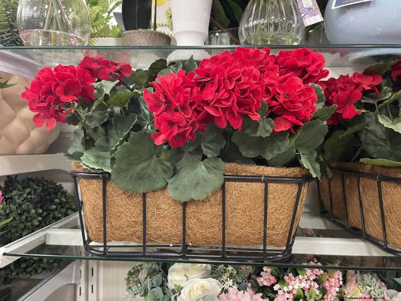 HomeGoods Garden & Outdoor Finds: 21 Best Deals This Week