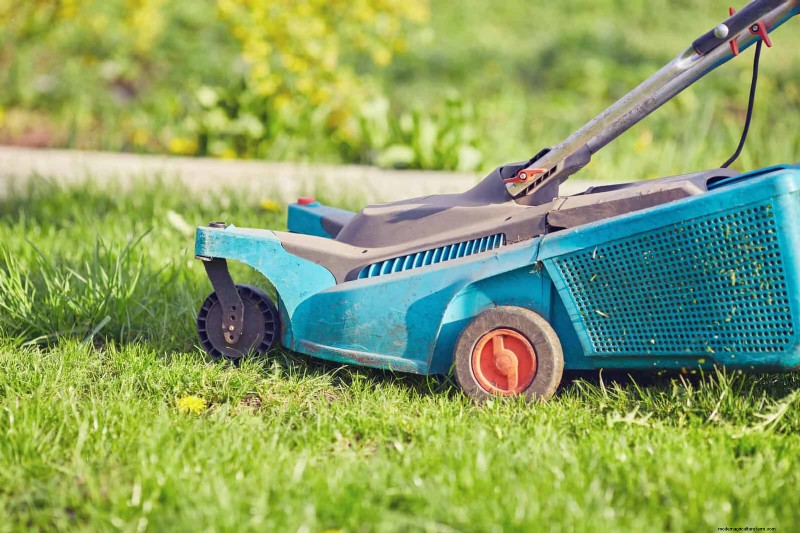 Avoid Lawn Care Mistakes: 15 Spring Errors for a Healthy Summer Lawn