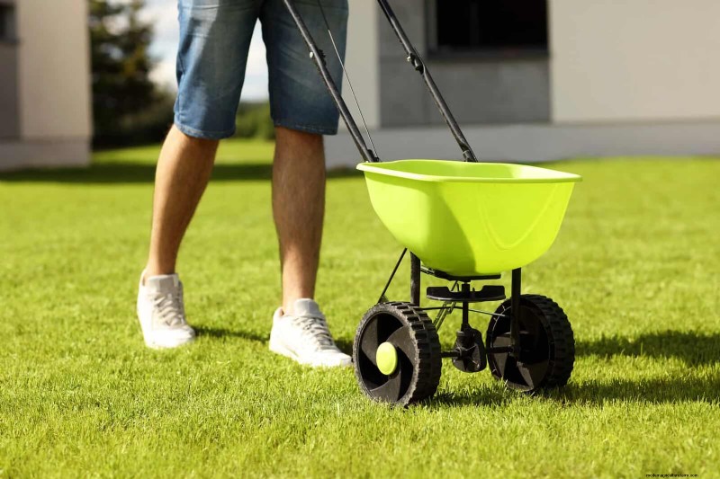 Avoid Lawn Care Mistakes: 15 Spring Errors for a Healthy Summer Lawn
