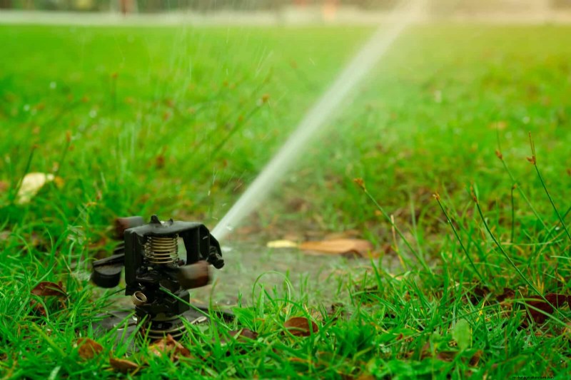 Avoid Lawn Care Mistakes: 15 Spring Errors for a Healthy Summer Lawn