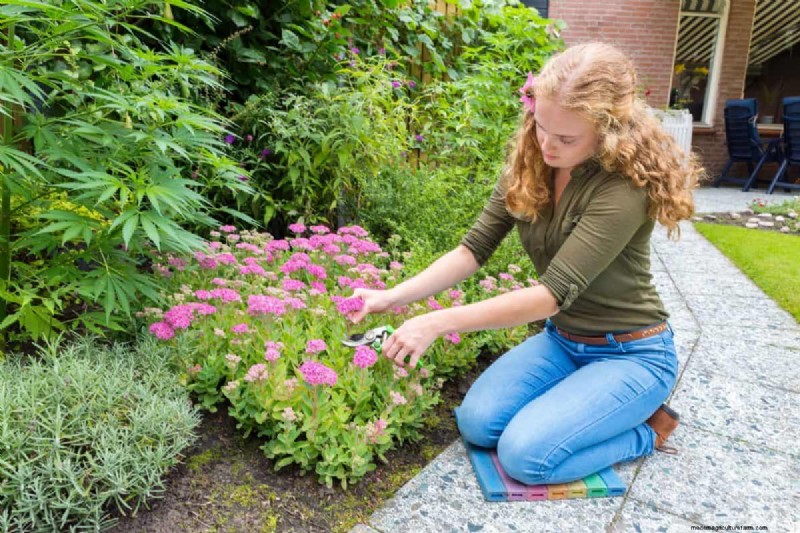 Perennial Pruning Mistakes: Avoid Weak Spring Growth & Maximize Blooms