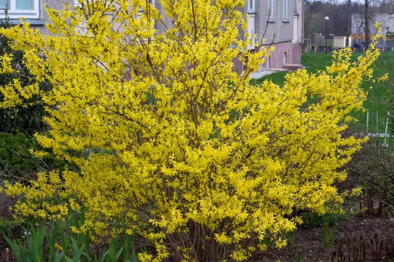 Spring Planting Timeline: Avoid These 19 Common Mistakes by USDA Zone