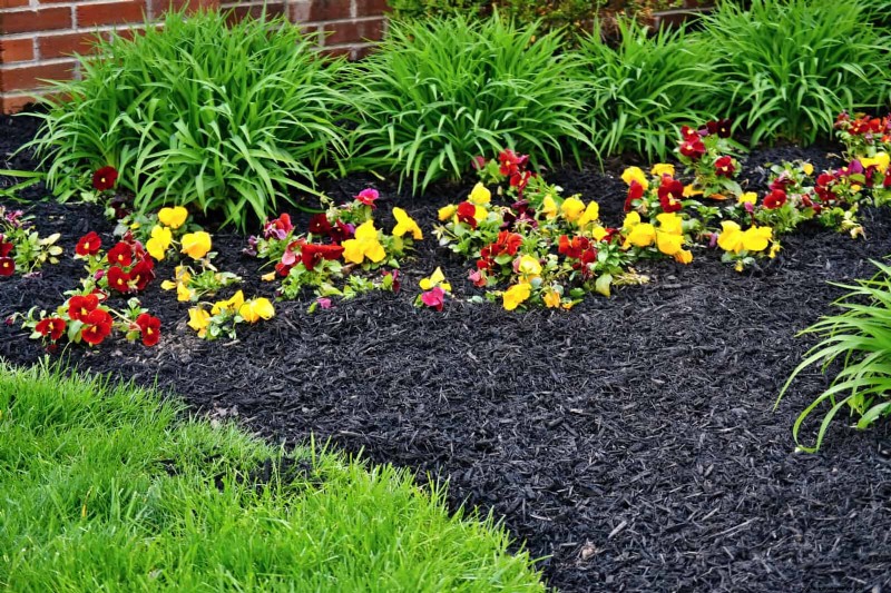 Spring Planting Timeline: Avoid These 19 Common Mistakes by USDA Zone