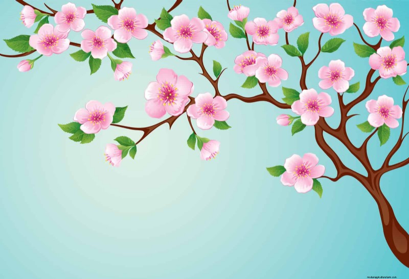 Spring Planting Timeline: Avoid These 19 Common Mistakes by USDA Zone