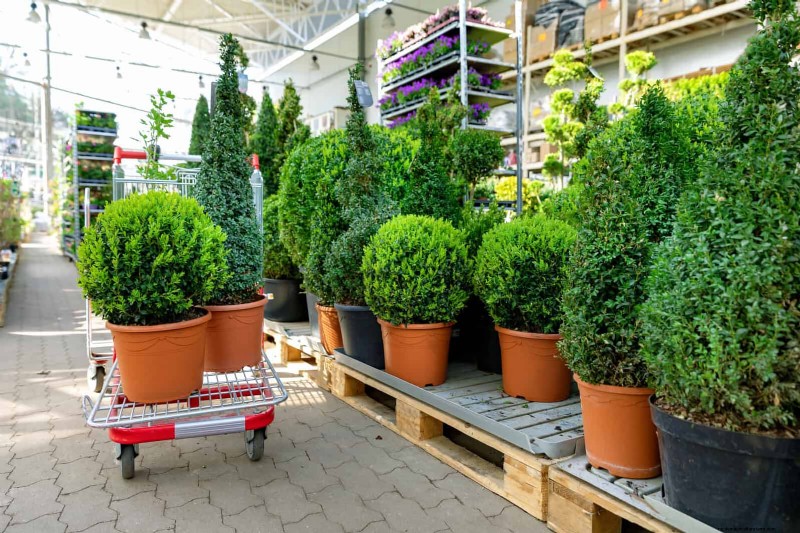 Spring Planting Timeline: Avoid These 19 Common Mistakes by USDA Zone