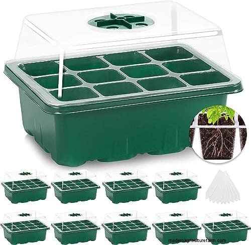 Best Plants to Start in Pots: A Guide for Early Planting