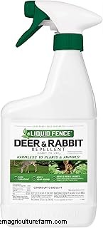 Protect Your Garden: 13 Proven Methods to Deter Rabbits