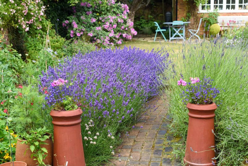 Protect Your Garden: 13 Proven Methods to Deter Rabbits