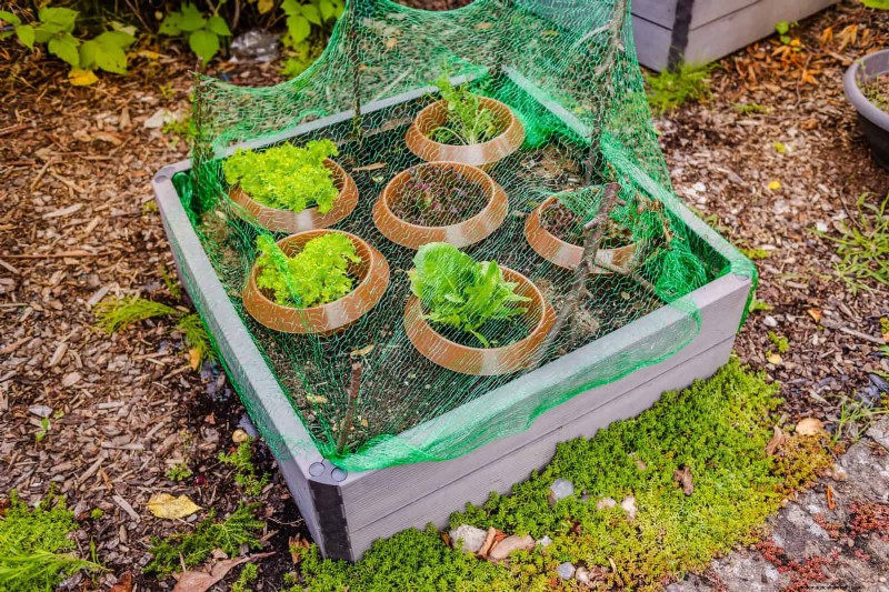 Protect Your Garden: 13 Proven Methods to Deter Rabbits