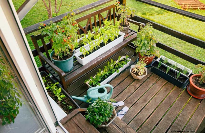 Container Gardening: Easy & Low-Maintenance for Small Spaces