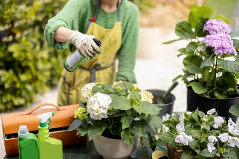 Simple Steps to Start a Garden, Even When Overwhelmed