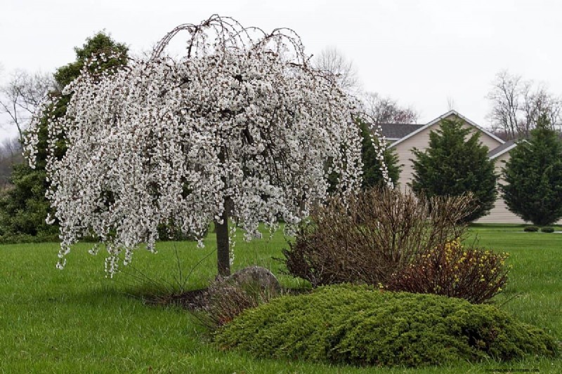 Backyard Landscaping Ideas: Transform Your Large Outdoor Space
