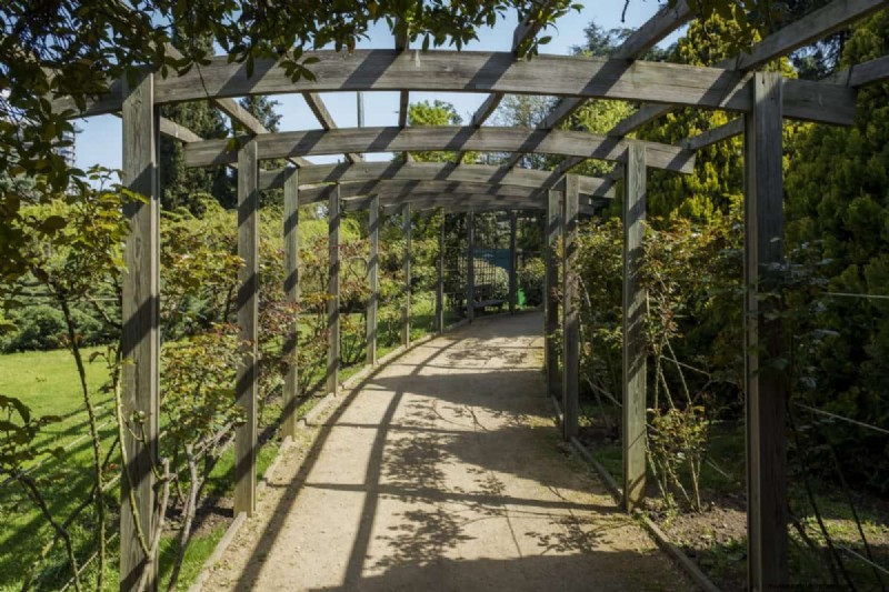 Backyard Landscaping Ideas: Transform Your Large Outdoor Space