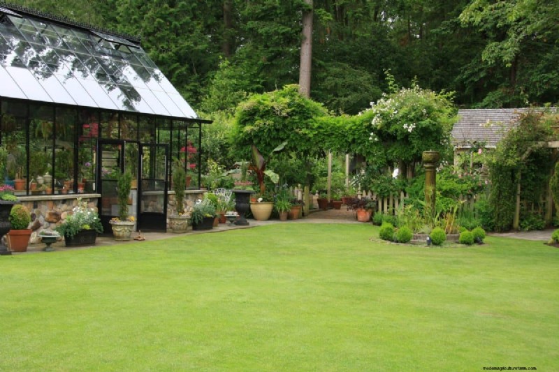 Backyard Landscaping Ideas: Transform Your Large Outdoor Space