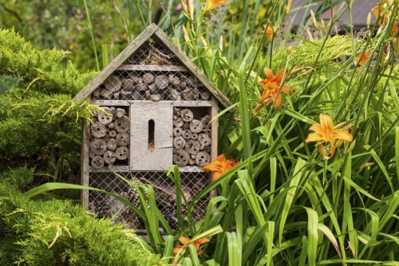Backyard Landscaping Ideas: Transform Your Large Outdoor Space
