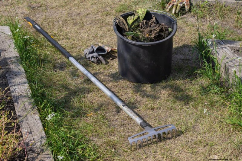 Essential Spring Gardening Tasks for March: A Complete Guide