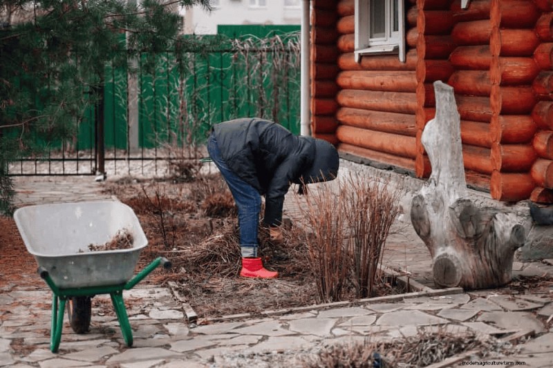 Essential Spring Gardening Tasks for March: A Complete Guide