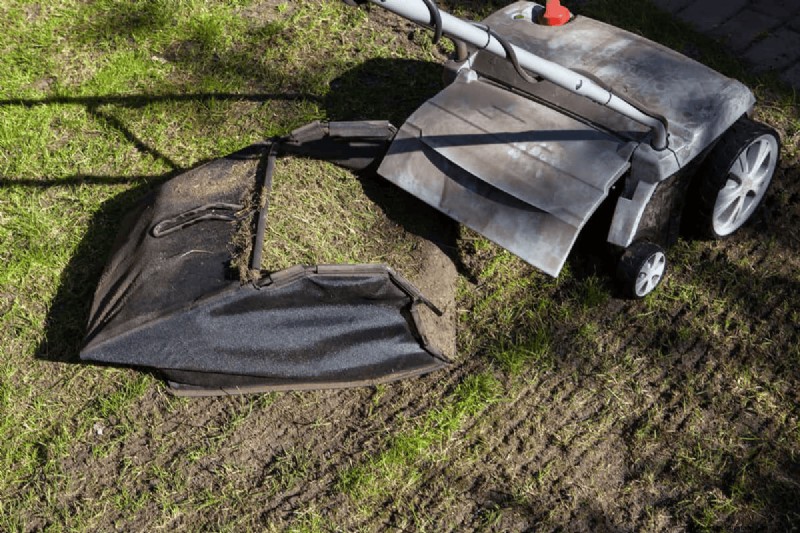 Essential Spring Gardening Tasks for March: A Complete Guide