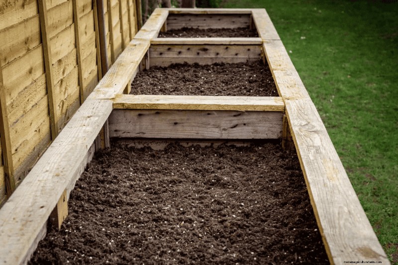 Essential Spring Gardening Tasks for March: A Complete Guide