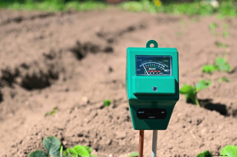 Essential Spring Gardening Tasks for March: A Complete Guide