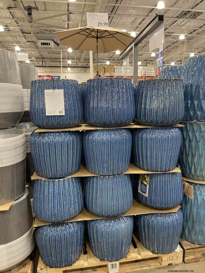 Costco Gardening Finds: Spring Bulbs, Roses & More (20+ Deals!)
