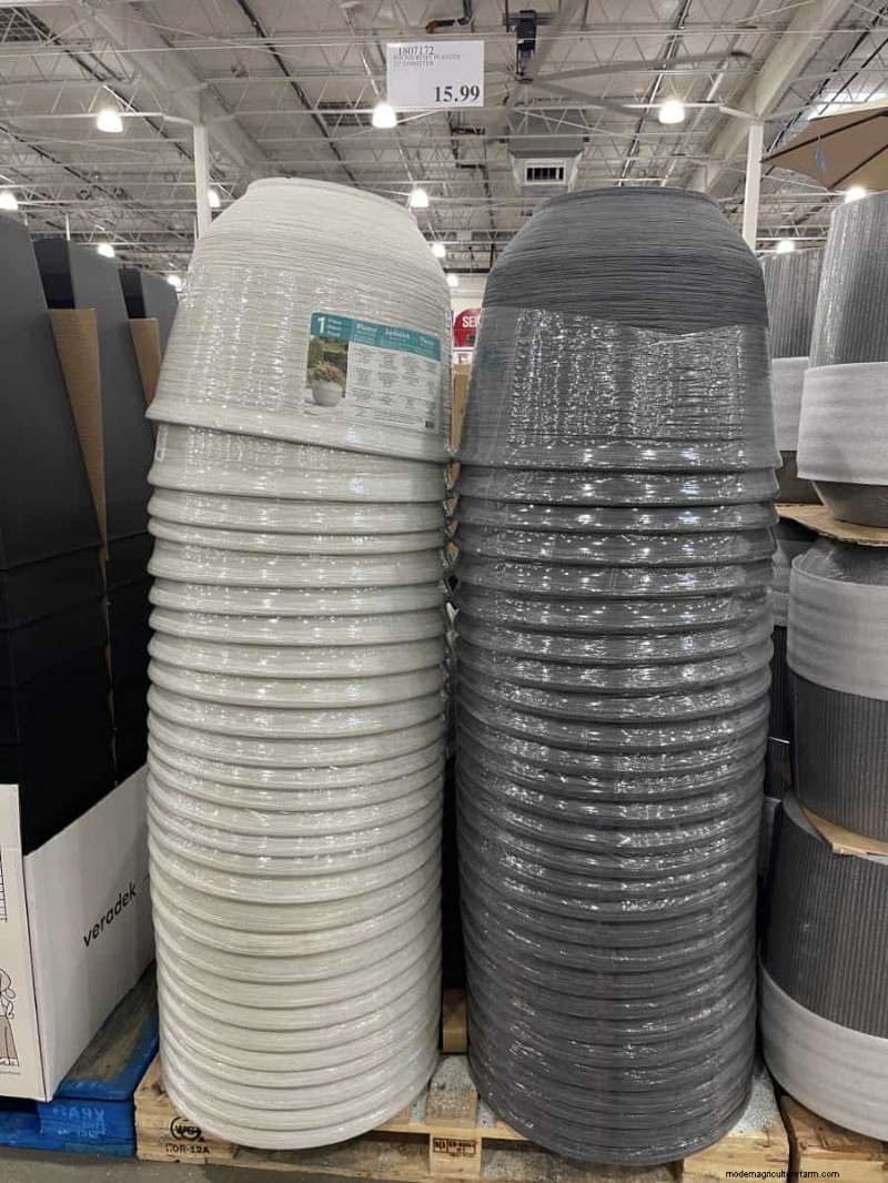 Costco Gardening Finds: Spring Bulbs, Roses & More (20+ Deals!)