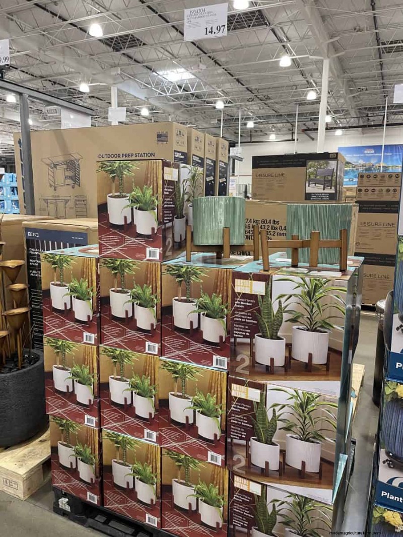 Costco Gardening Finds: Spring Bulbs, Roses & More (20+ Deals!)