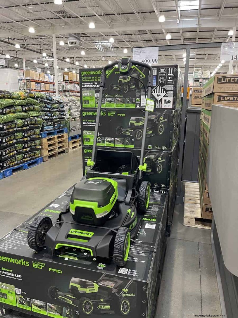 Costco Gardening Finds: Spring Bulbs, Roses & More (20+ Deals!)
