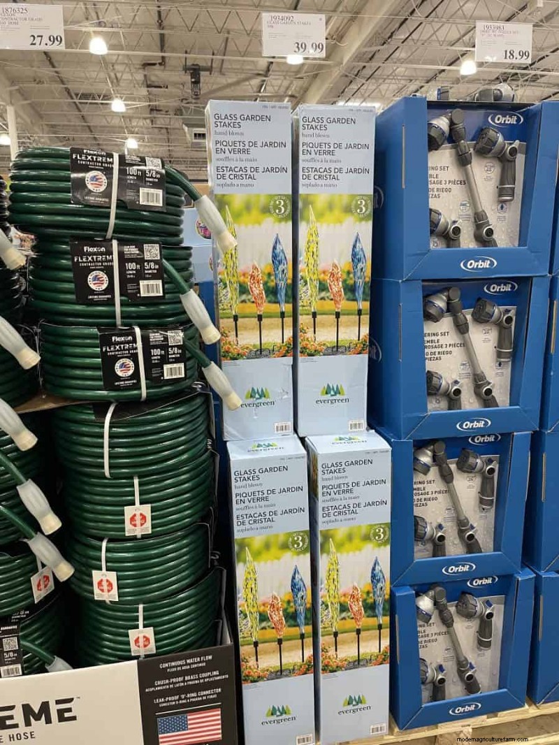 Costco Gardening Finds: Spring Bulbs, Roses & More (20+ Deals!)