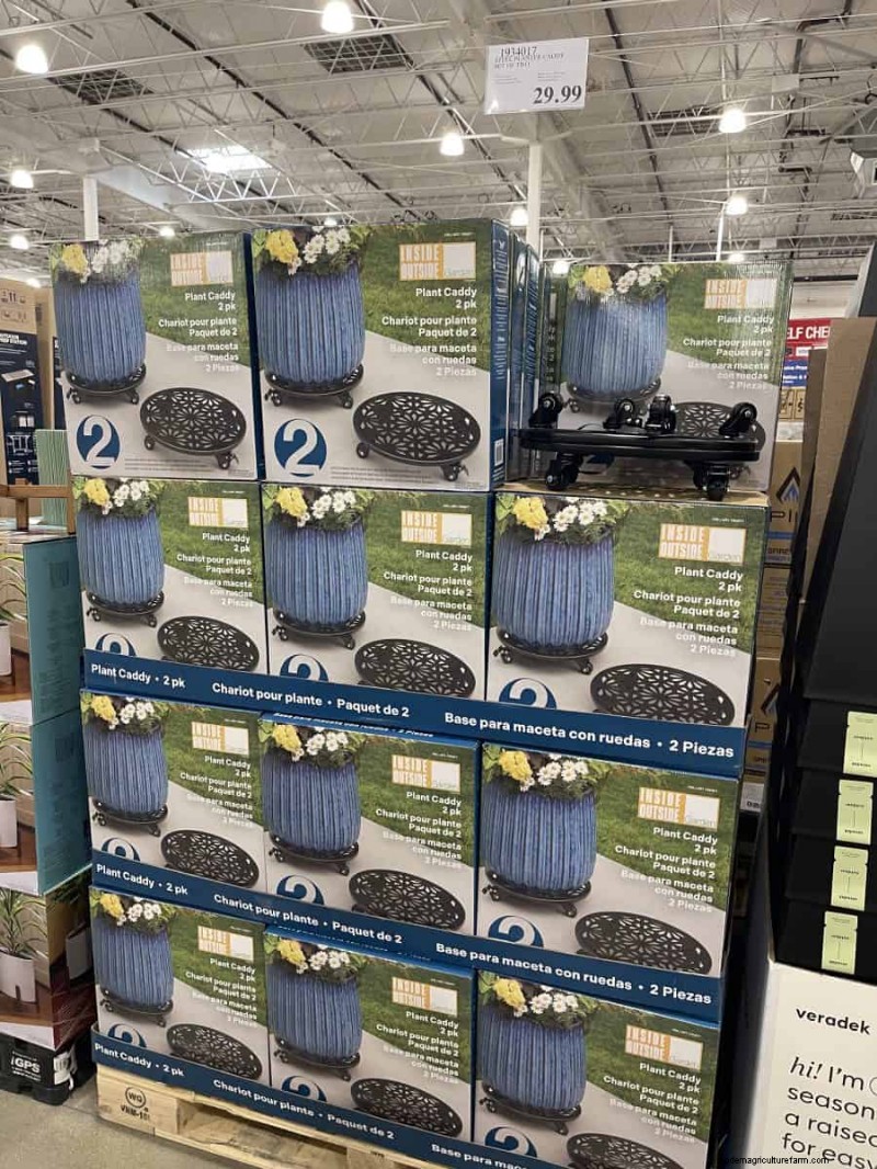 Costco Gardening Finds: Spring Bulbs, Roses & More (20+ Deals!)