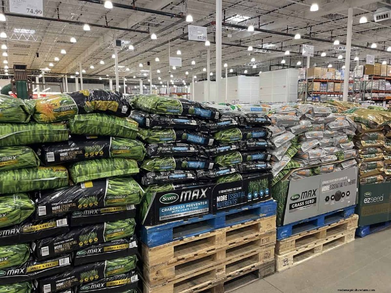 Costco Gardening Finds: Spring Bulbs, Roses & More (20+ Deals!)