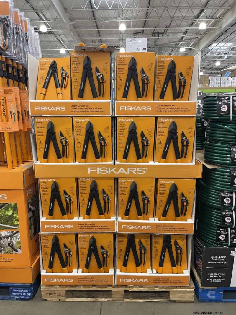 Costco Gardening Finds: Spring Bulbs, Roses & More (20+ Deals!)