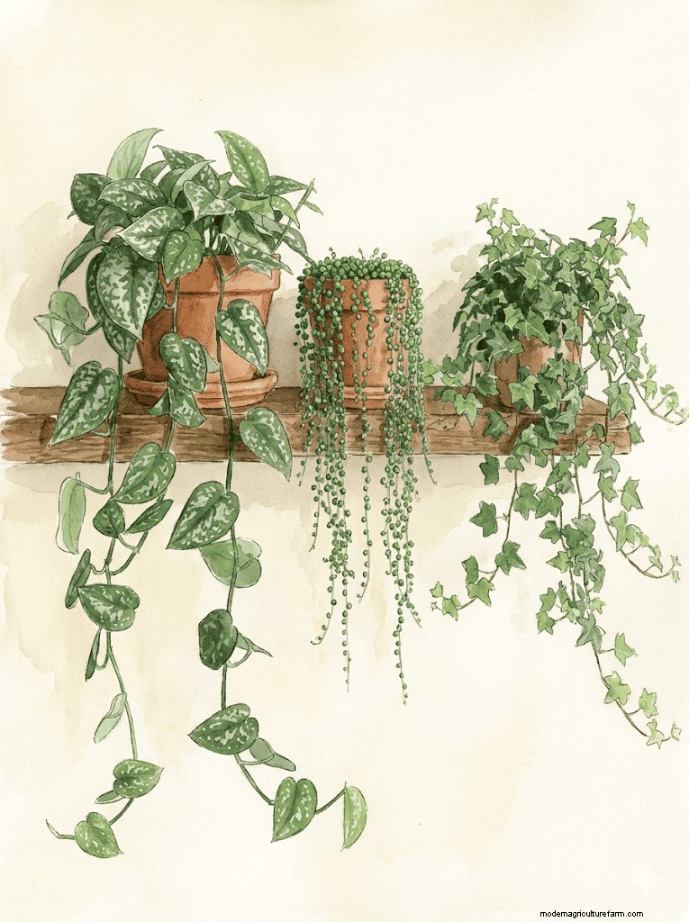 13 Creative Houseplant Grouping Ideas for a Stylish & Thriving Home