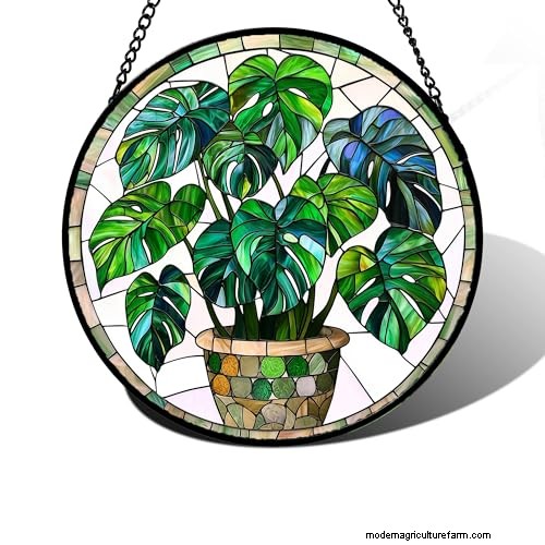 12 Stunning Monstera Suncatchers to Brighten Your Home