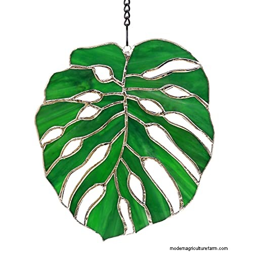 12 Stunning Monstera Suncatchers to Brighten Your Home