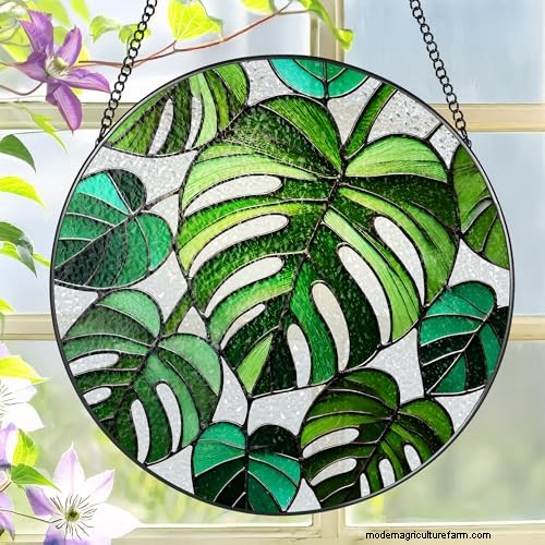 12 Stunning Monstera Suncatchers to Brighten Your Home