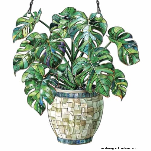 12 Stunning Monstera Suncatchers to Brighten Your Home