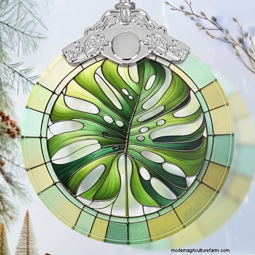 12 Stunning Monstera Suncatchers to Brighten Your Home