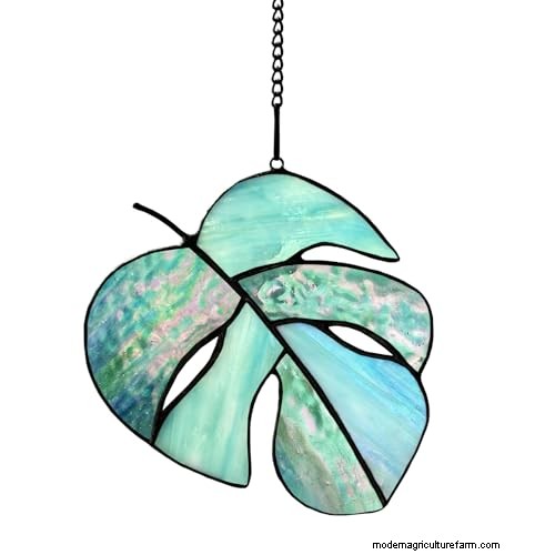 12 Stunning Monstera Suncatchers to Brighten Your Home