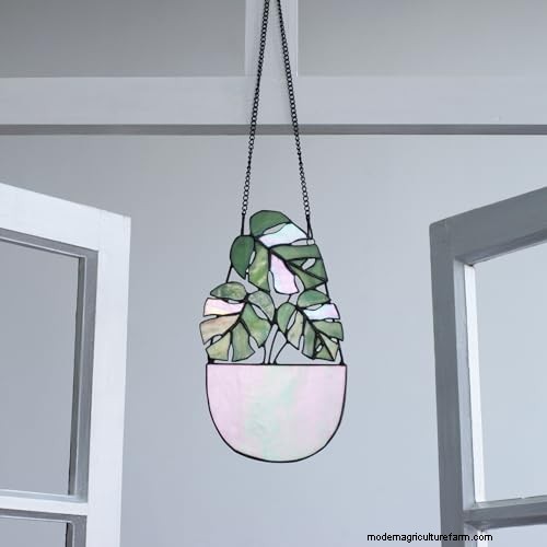 12 Stunning Monstera Suncatchers to Brighten Your Home
