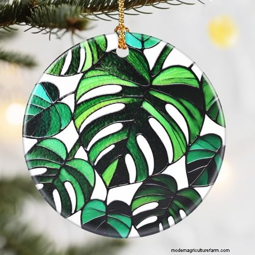 12 Stunning Monstera Suncatchers to Brighten Your Home